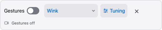 Stage Turner Safari extension controls